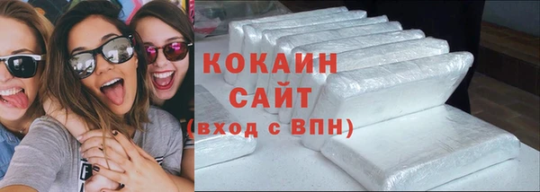 прущие грибы Покачи