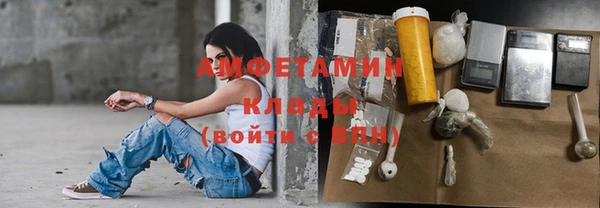 прущие грибы Покачи