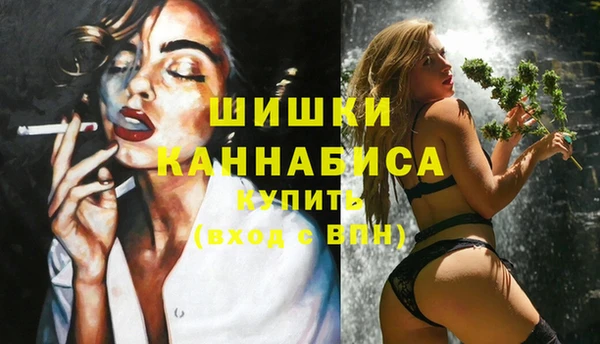 прущие грибы Покачи