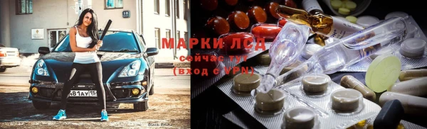 прущие грибы Покачи