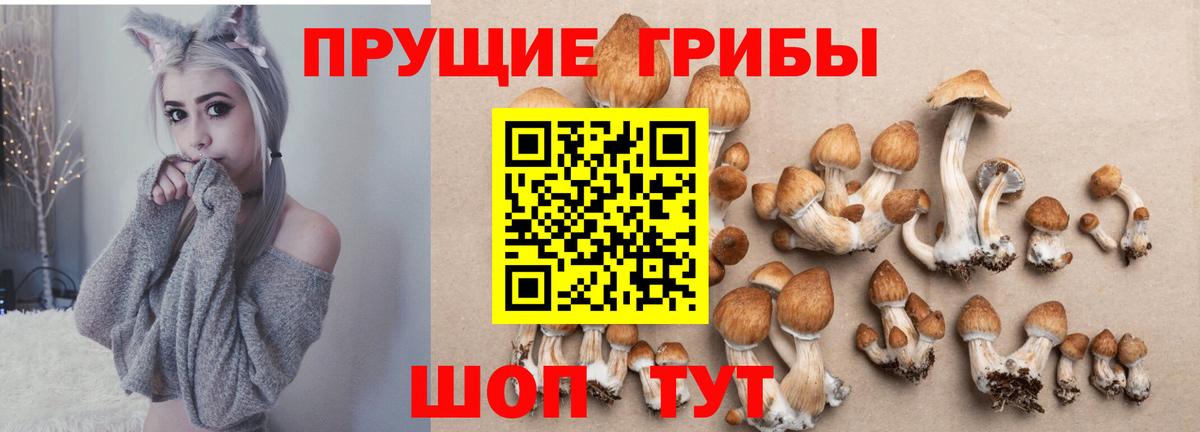 Псилоцибиновые грибы ЛСД  Галлюциногенные грибы MAGIC MUSHROOMS  закладка  Россошь 