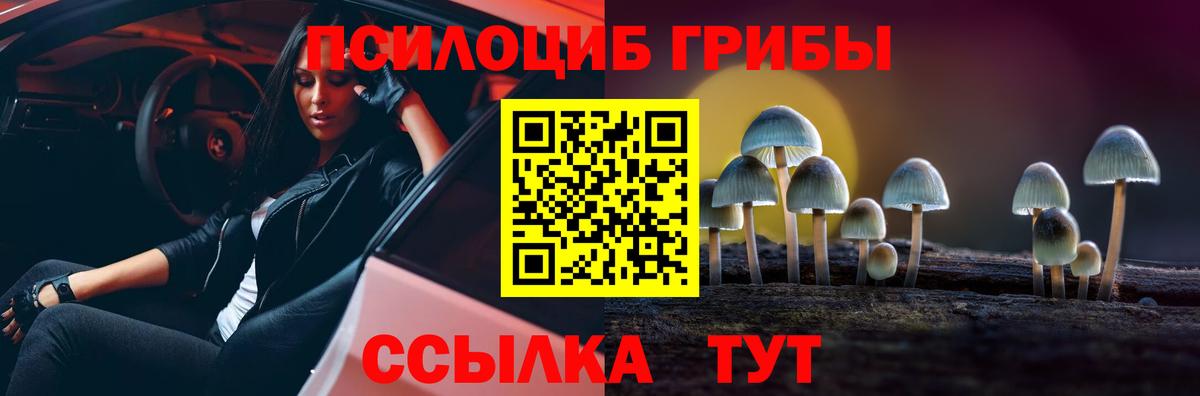 Россошь  Галлюциногенные грибы Magic Shrooms  сколько стоит  Вход с VPN 