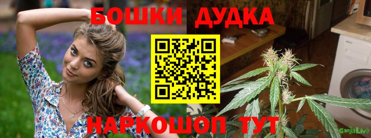 Каннабис марихуана  Вход с VPN  Шишки марихуана план  Россошь 